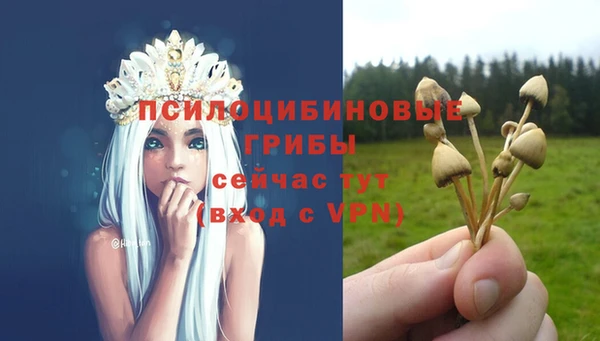 таблы Абинск