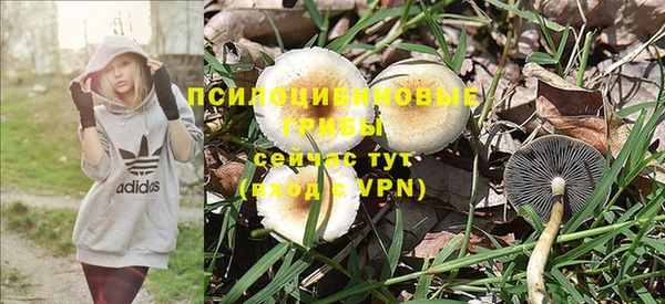 марки nbome Пролетарск