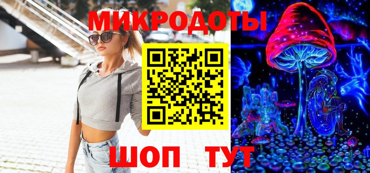 Галлюциногенные грибы Psilocybine cubensis Лабытнанги